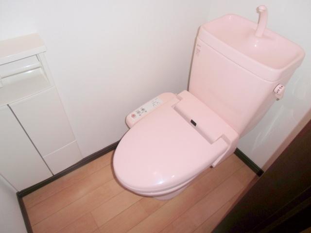 Toilet. With hot water cleaning function