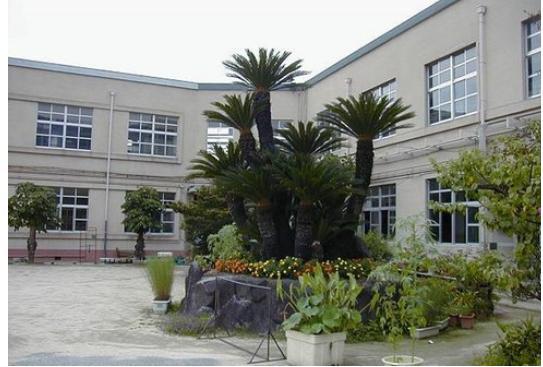 Other. Ishikiri elementary school.