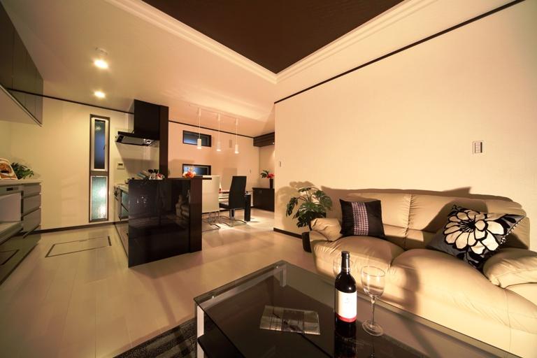 Same specifications photos (living). Our model house