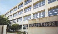 Primary school. Higashi Osaka Municipal Tamagawa until elementary school 727m