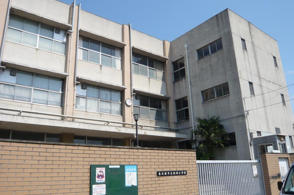 Primary school. Higashi-Osaka City Kashiwada to elementary school 821m