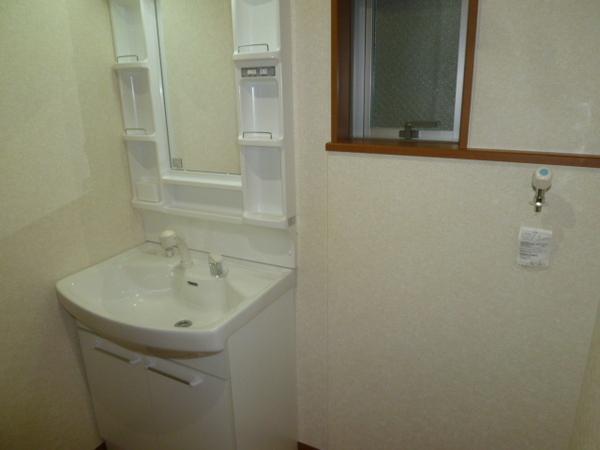 Wash basin, toilet. Storage lot, Vanity shower