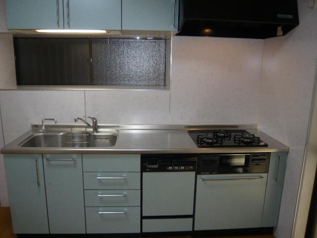 Kitchen. Indoor (10 May 2013) Shooting