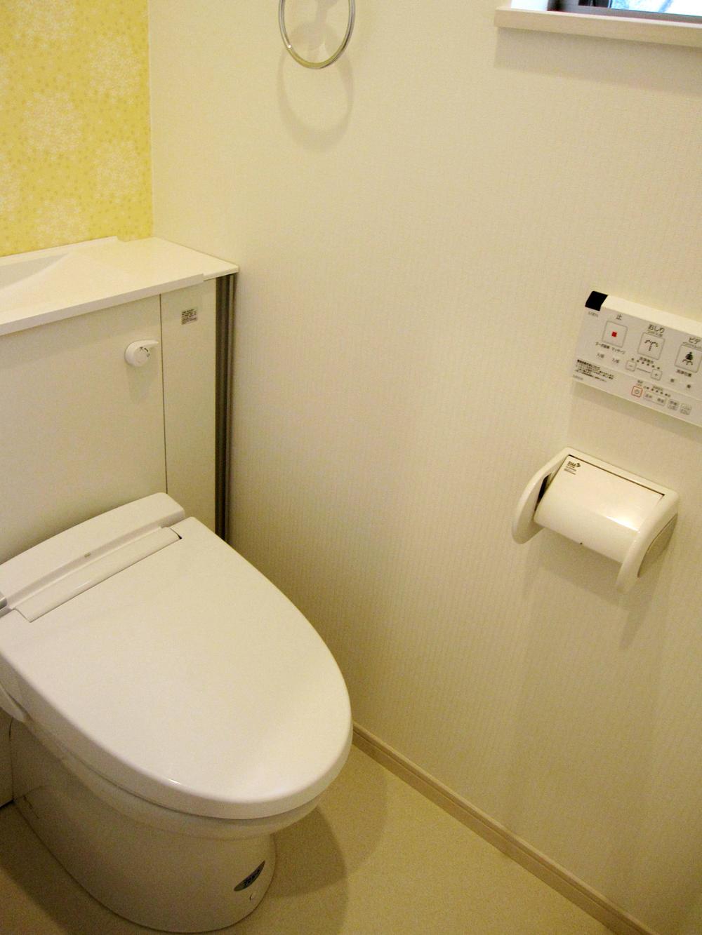 Toilet. Storage of internal organs have been cleaning function toilet