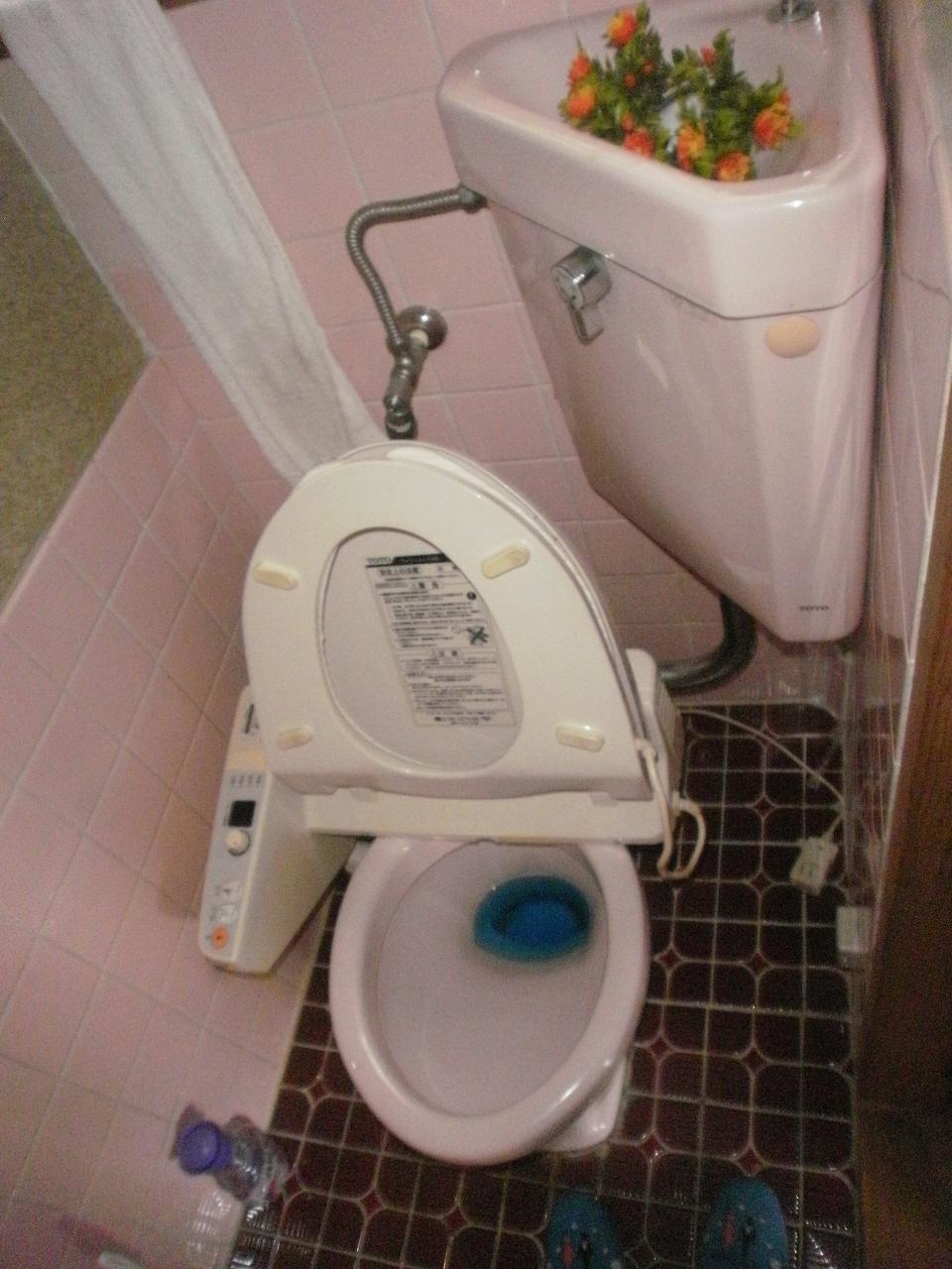 Toilet