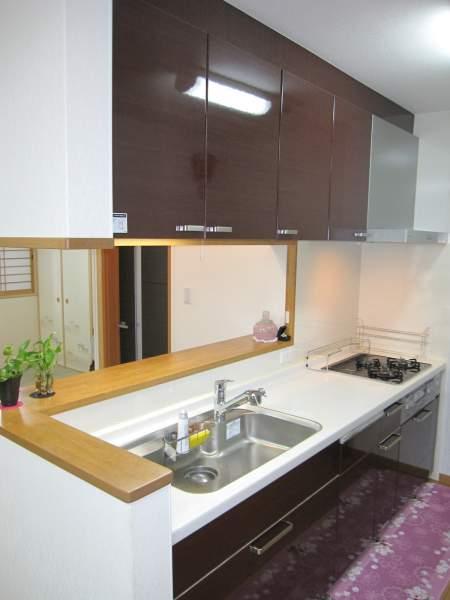 Kitchen. With dish washing dryer