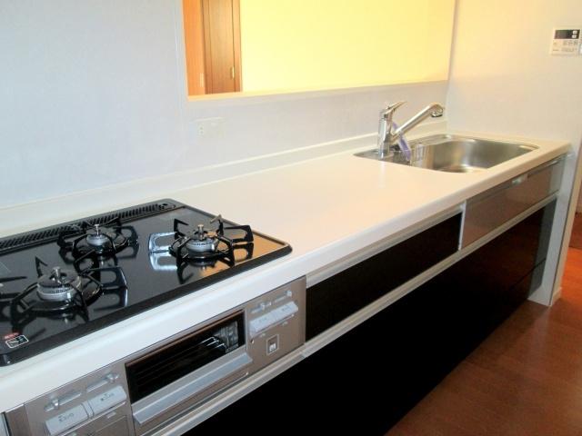 Same specifications photo (kitchen). Large system Kitchen