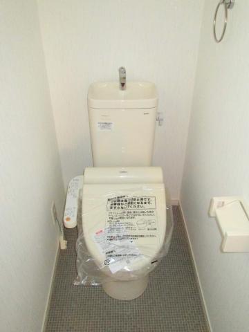 Toilet. Multi-functional toilet