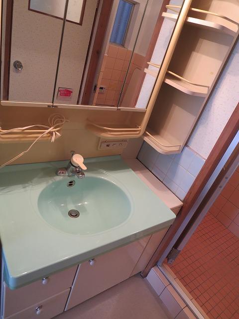 Wash basin, toilet. Bathroom vanity