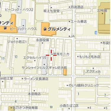 Local photos, including front road. Local map