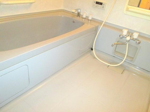 Bathroom. This bath was loose