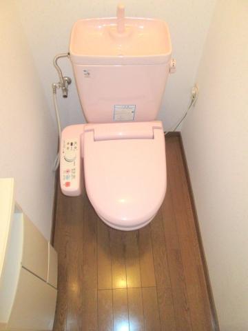 Toilet. Multi-functional toilet