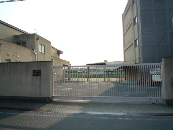 Primary school. Pilfered until elementary school 650m