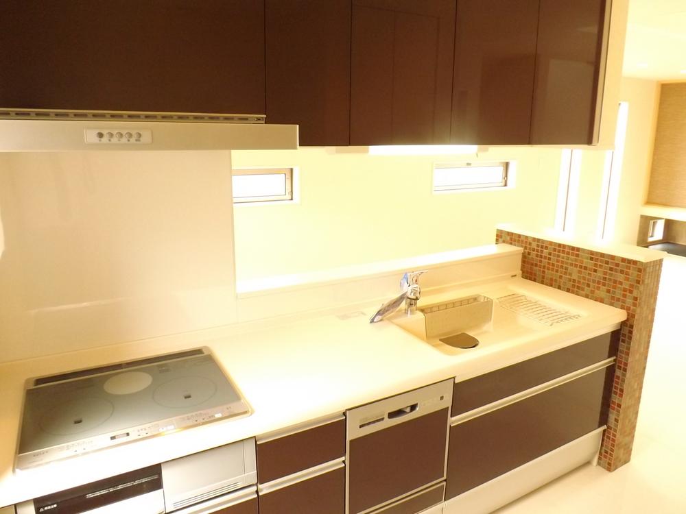 Kitchen. Local photo (kitchen) IH stove diet dry unit with a face-to-face metal shower