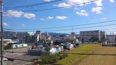 Other. Is the view from the veranda. Day is nice! 