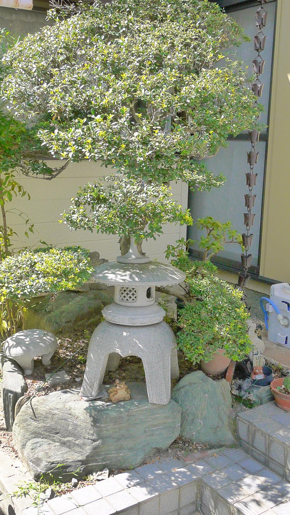 Garden. Local (March 2013) Shooting