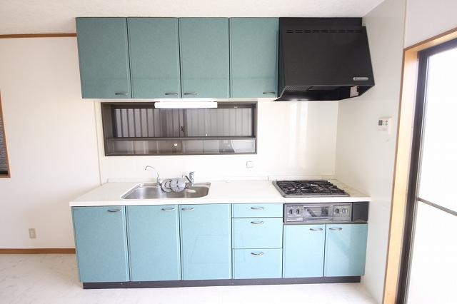 Kitchen. Indoor (10 May 2013) Shooting