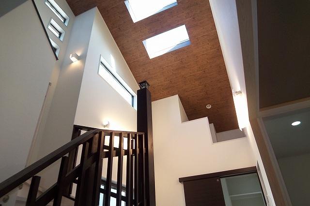 Other introspection. 2013 September shooting