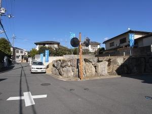 Local land photo. Local (11 May 2013) Shooting