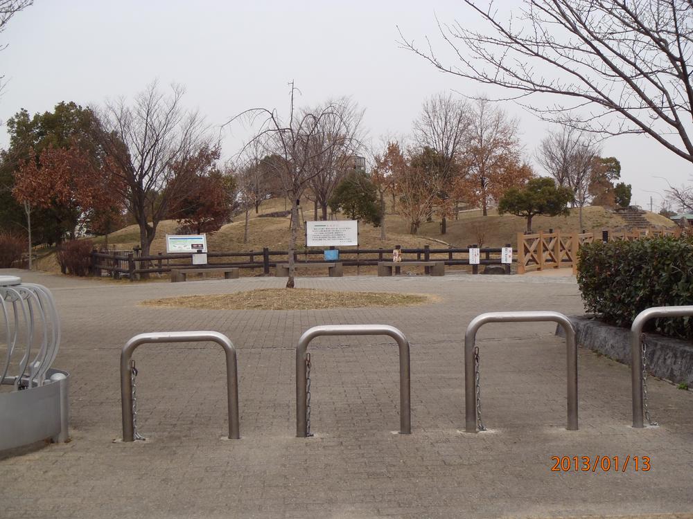 Other Environmental Photo. Large-scale park of the town