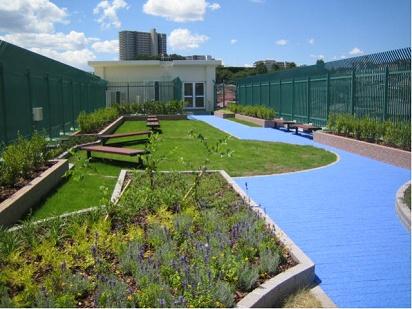 Primary school. Hirakata Elementary School is working on actively rooftop greening of 800m school building until the second elementary school