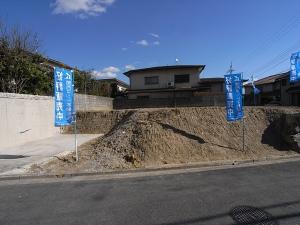 Local land photo. Local (11 May 2013) Shooting