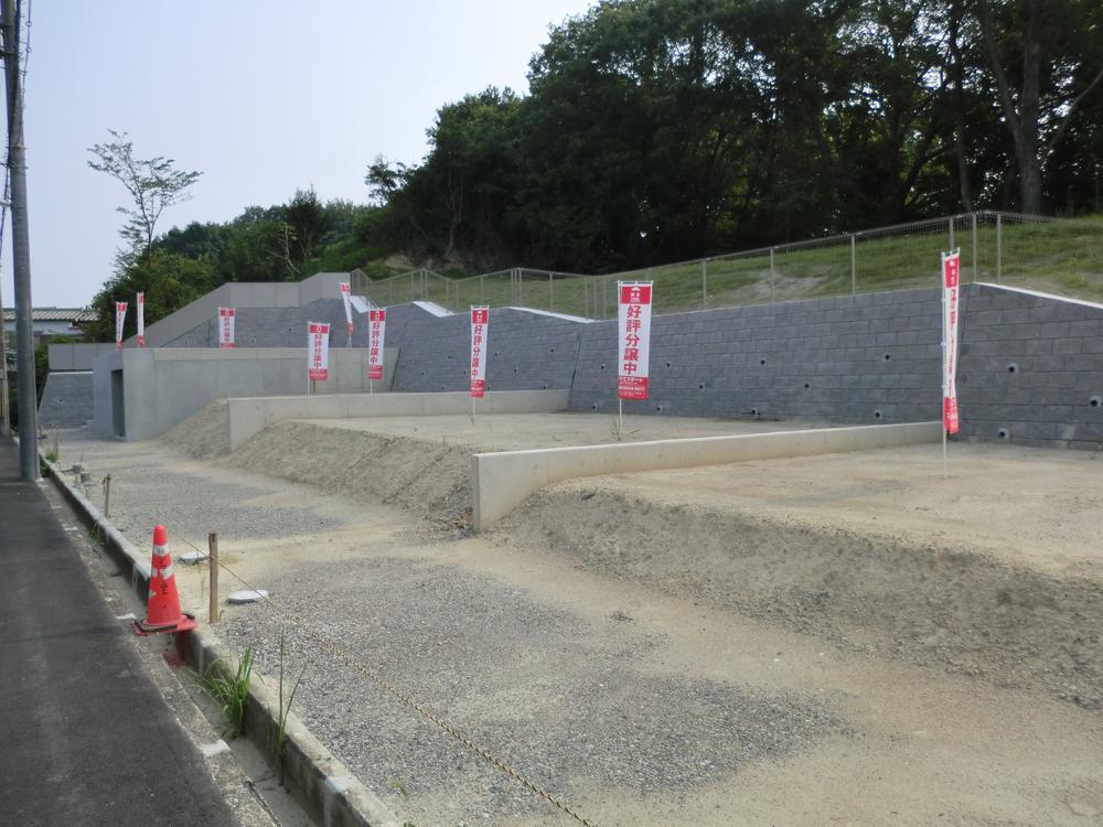 Local photos, including front road. Local (11 May 2013) Shooting