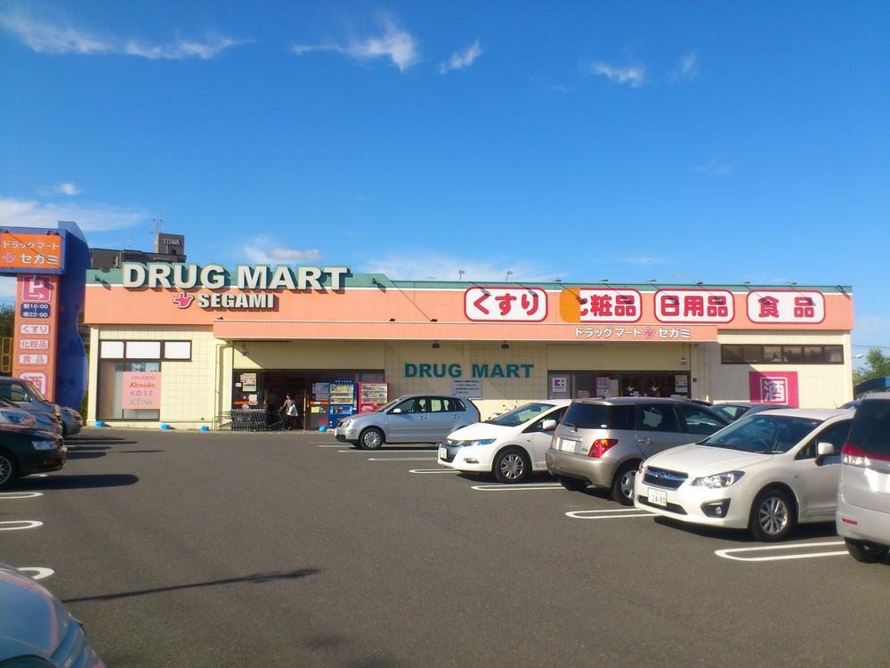 Other. Drug store