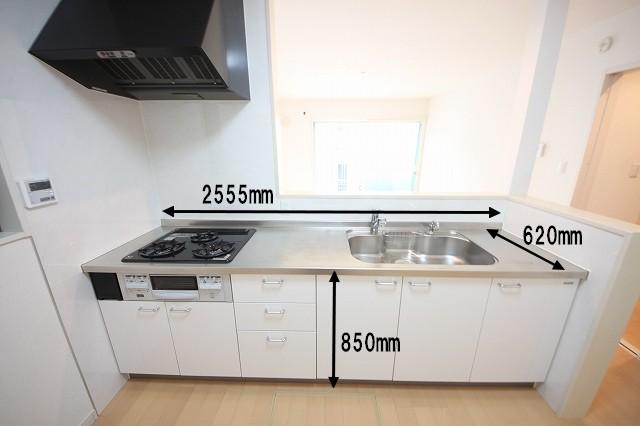 Kitchen. Indoor (10 May 2013) Shooting 2F counter type system Kitchen