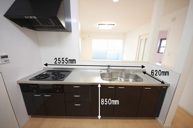 Kitchen. Indoor (10 May 2013) Shooting