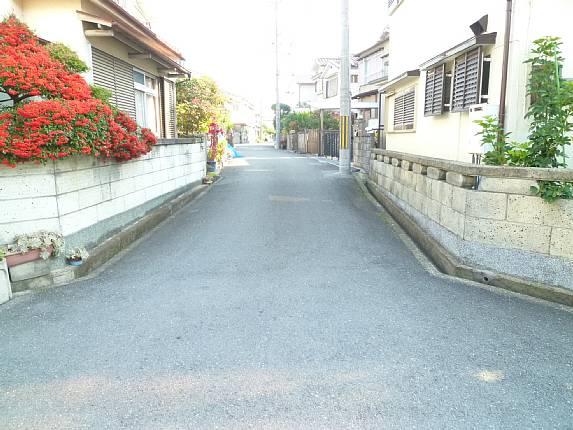 Local photos, including front road. Front road spacious! !