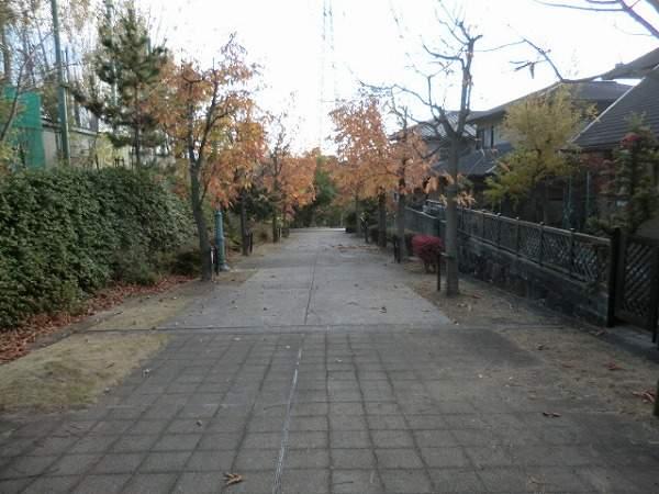 Local photos, including front road. Promenade of width about 8.0m