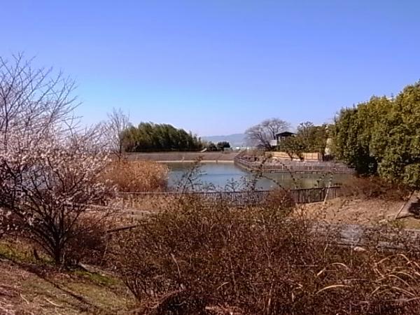 park. 1275m to Tsuda park