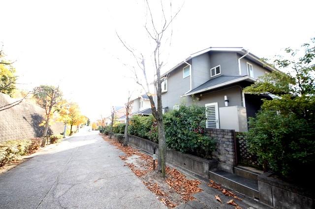 Local photos, including front road. Local (11 May 2013) Shooting