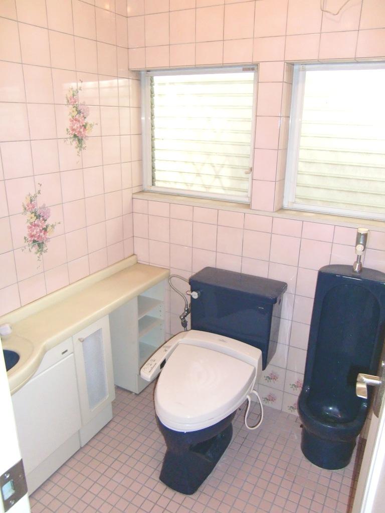 Toilet. Indoor (12 May 2012) shooting