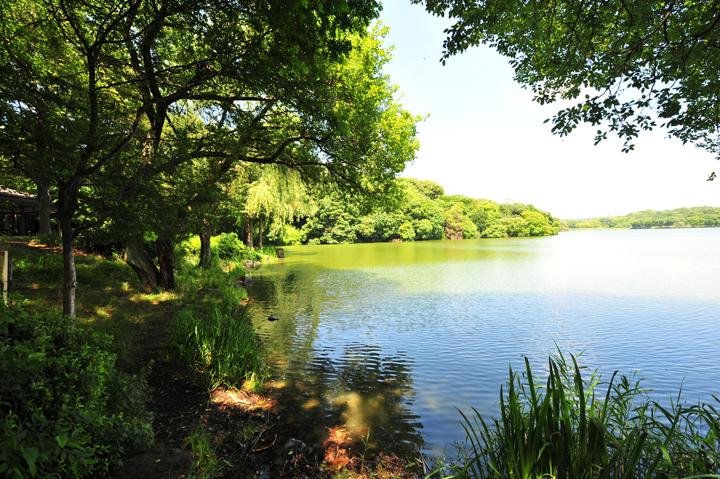 park. Until Yamadaikekoen 450m 6-minute walk