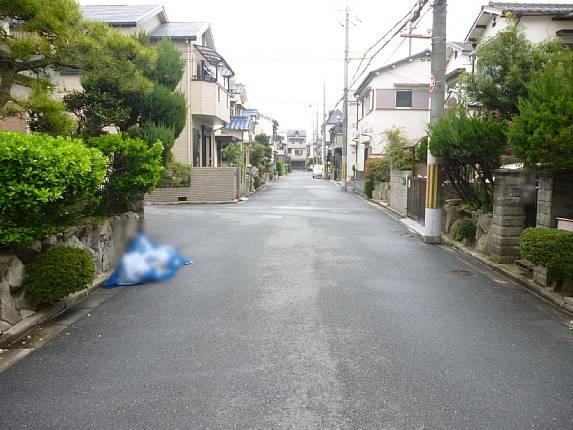 Local photos, including front road. Local (03 May 2013) Shooting