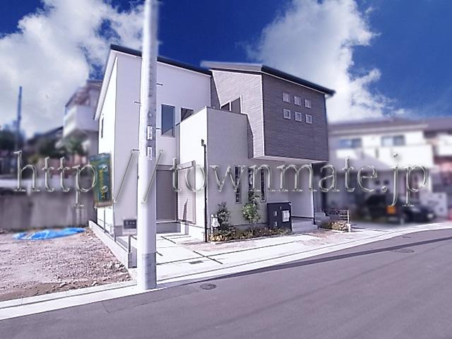 Other local. No. 8 area appearance, including the front road