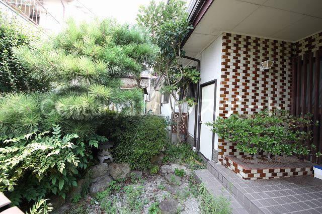 Garden. Local (September 2013) Shooting