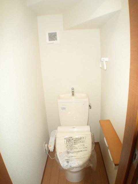 Toilet. The company construction cases