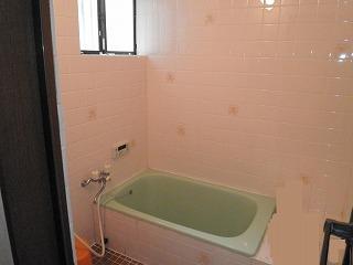 Bathroom. Indoor (11 May 2013) Shooting