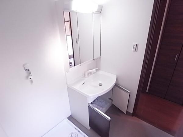 Wash basin, toilet. Wash basin with storage enhancement of the shower