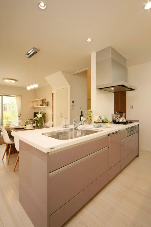 Other Equipment. Dining and an open kitchen with a sense of unity.