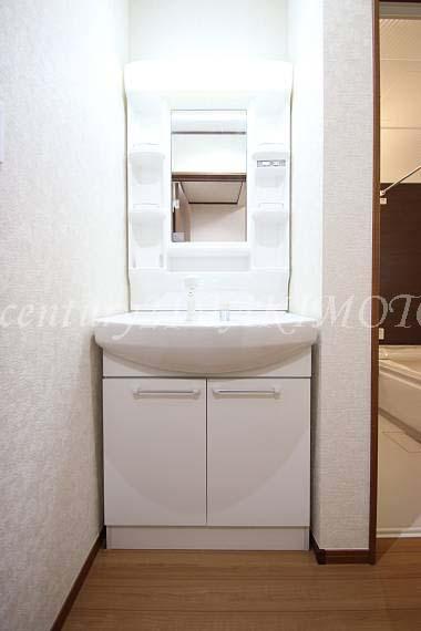Wash basin, toilet. Storage rich and convenient wash basin!