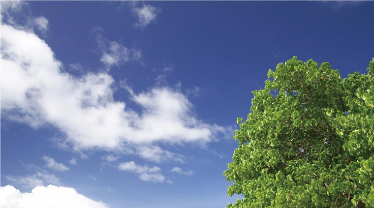 Other. Osaka ・ Among the Keihan wayside directly connected to the 2 major cities of Kyoto, Spread to the exceptionally quiet residential area Sekisui House "Kaori Hills".