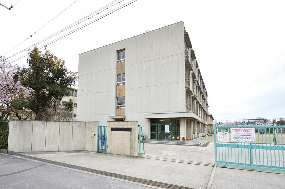 Junior high school. Municipal cedar middle school 730m walk 10 minutes to the City cedar junior high school