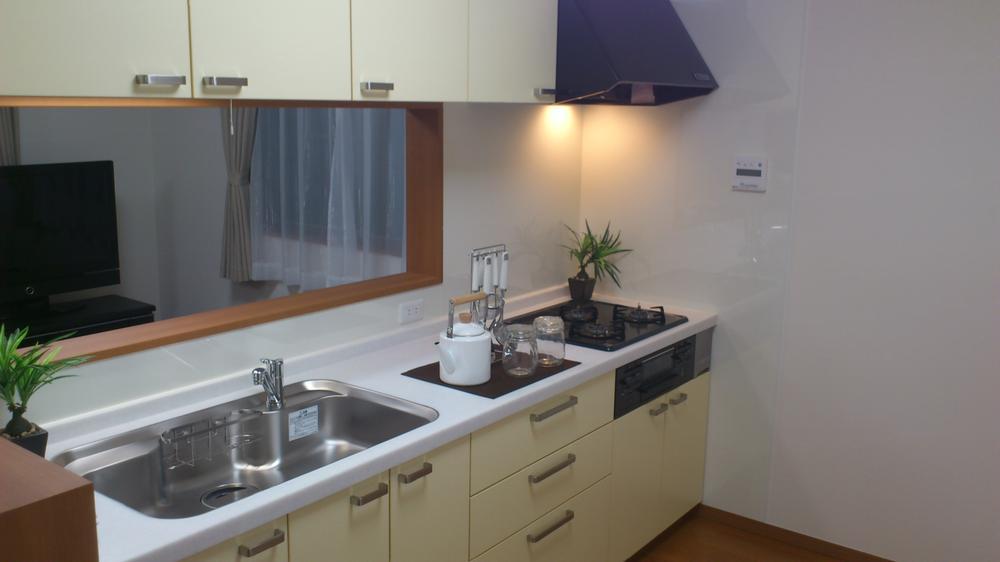 Kitchen. Local photo (kitchen) Slide storage! Water purifier with shower!