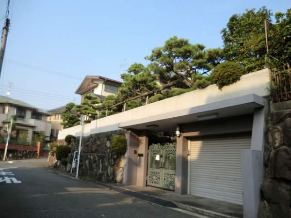 Local appearance photo. Electric shutter with a dug-down garage