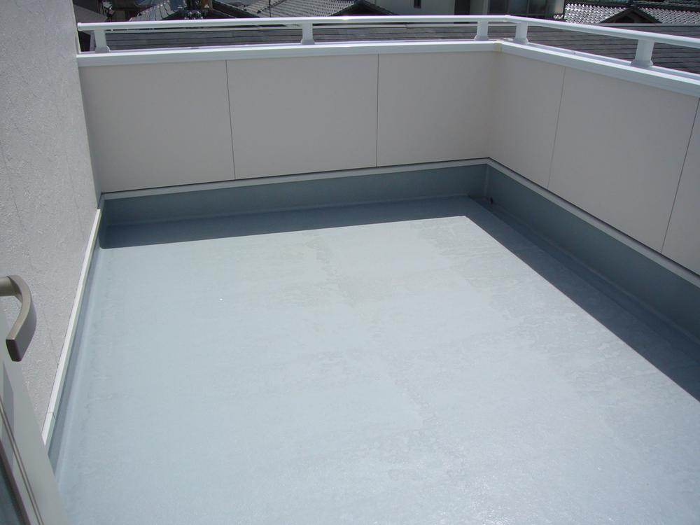 Local appearance photo. Local (July 2012) shooting