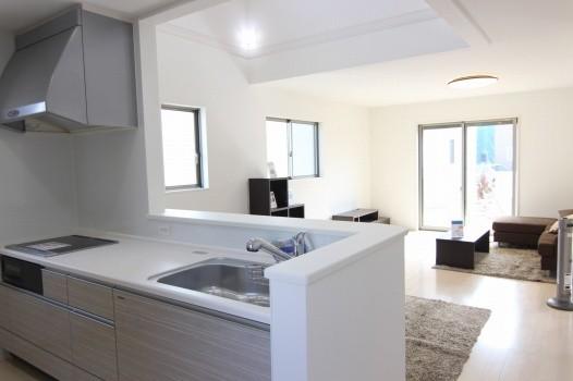 Same specifications photo (kitchen). Same specifications photo (kitchen) Slide storage! Water purifier with shower!